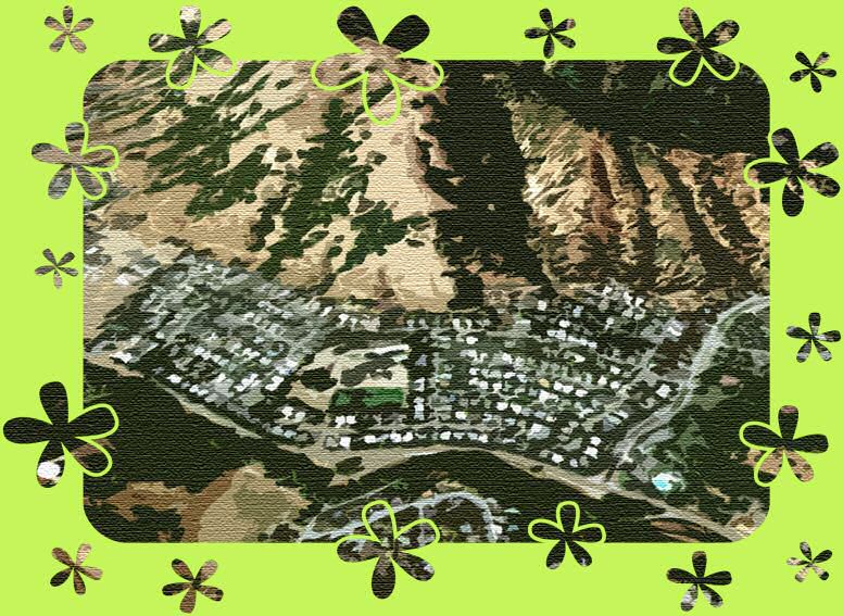 aerial view of the berries!